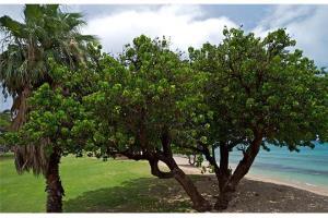 Beautiful Ground Floor! Corner! Just Steps To Ocean And Pool!120 Hotel Napili-Honokowai ภายนอก รูปภาพ